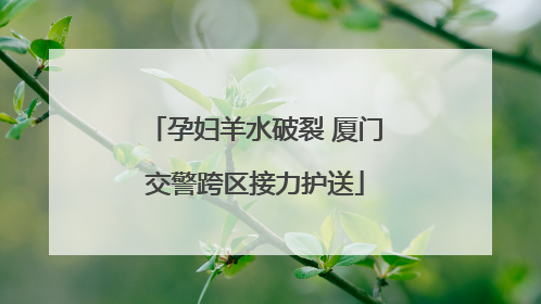孕妇羊水破裂 厦门交警跨区接力护送
