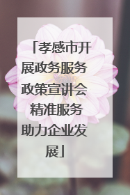 孝感市开展政务服务政策宣讲会 精准服务助力企业发展