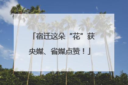 宿迁这朵“花”获央媒、省媒点赞！