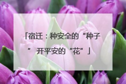 宿迁：种安全的“种子” 开平安的“花”