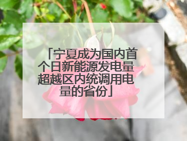 宁夏成为国内首个日新能源发电量超越区内统调用电量的省份