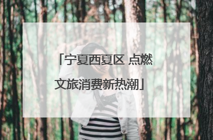 宁夏西夏区 点燃文旅消费新热潮