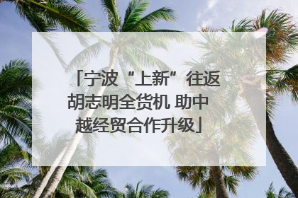 宁波“上新”往返胡志明全货机 助中越经贸合作升级