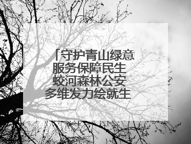 守护青山绿意 服务保障民生 蛟河森林公安多维发力绘就生态惠民新画卷