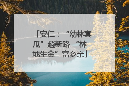 安仁：“幼林套瓜”趟新路 “林地生金”富乡亲