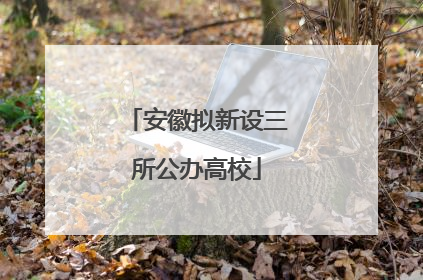 安徽拟新设三所公办高校