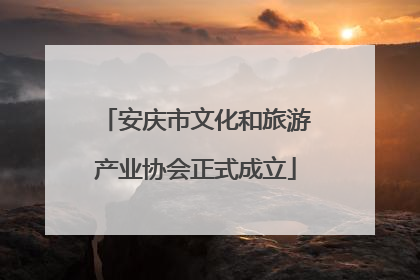 安庆市文化和旅游产业协会正式成立