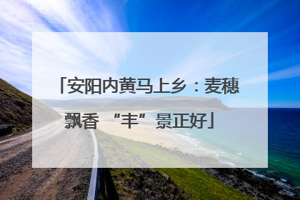 安阳内黄马上乡：麦穗飘香 “丰”景正好