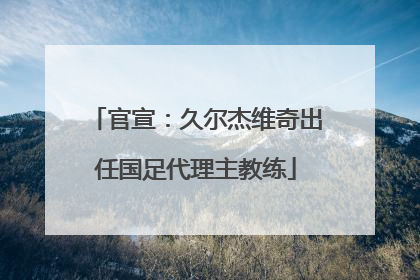官宣：久尔杰维奇出任国足代理主教练