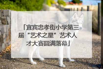宜宾忠孝街小学第三届“艺术之星”艺术人才大赛圆满落幕