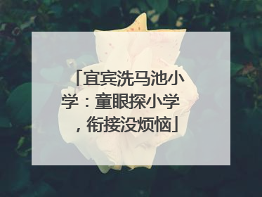 宜宾洗马池小学：童眼探小学，衔接没烦恼