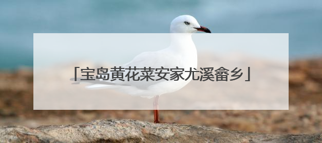 宝岛黄花菜安家尤溪畲乡