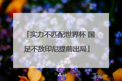 实力不匹配世界杯 国足不敌印尼提前出局