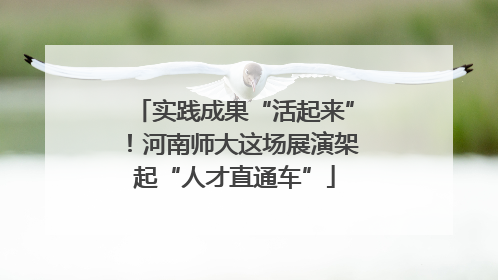 实践成果“活起来”！河南师大这场展演架起“人才直通车”