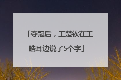 夺冠后，王楚钦在王皓耳边说了5个字