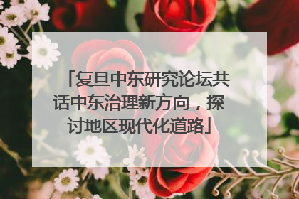 复旦中东研究论坛共话中东治理新方向，探讨地区现代化道路