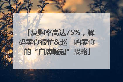 复购率高达75%，解码零食很忙&赵一鸣零食的“白牌崛起”战略