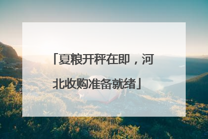 夏粮开秤在即，河北收购准备就绪