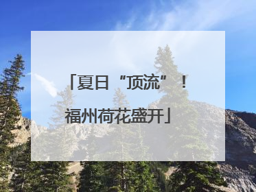 夏日“顶流”！福州荷花盛开