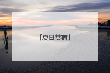 夏日赏荷