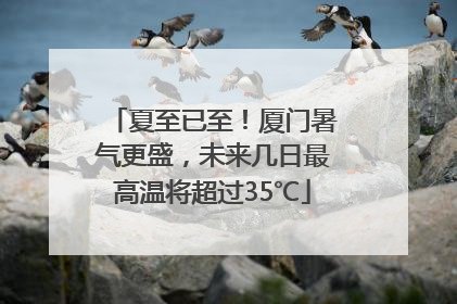 夏至已至！厦门暑气更盛，未来几日最高温将超过35℃