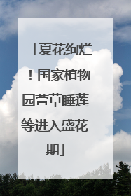 夏花绚烂！国家植物园萱草睡莲等进入盛花期