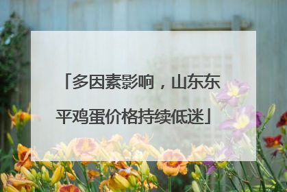 多因素影响，山东东平鸡蛋价格持续低迷