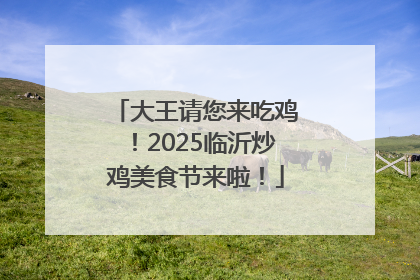 大王请您来吃鸡！2025临沂炒鸡美食节来啦！