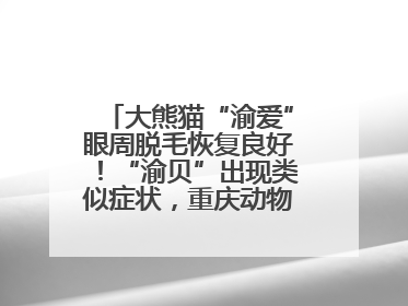 大熊猫“渝爱”眼周脱毛恢复良好！“渝贝”出现类似症状，重庆动物园回应