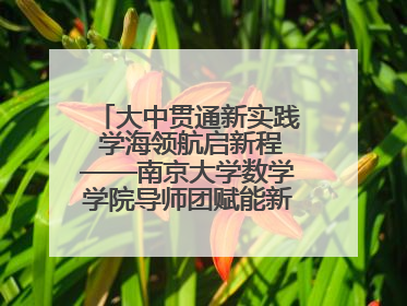 大中贯通新实践 学海领航启新程——南京大学数学学院导师团赋能新海初级中学九年级学子生涯规划