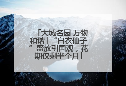 大城名园 万物和谐│“白衣仙子”盛放引围观，花期仅剩半个月