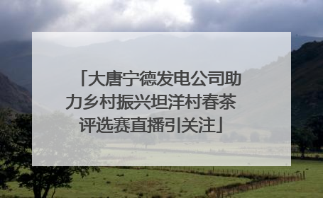 大唐宁德发电公司助力乡村振兴坦洋村春茶评选赛直播引关注