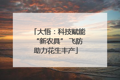大悟：科技赋能“新农具” 飞防助力花生丰产