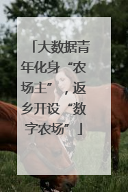 大数据青年化身“农场主”，返乡开设“数字农场”