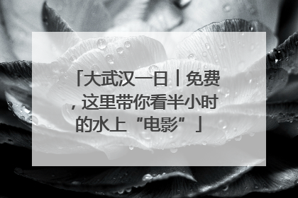 大武汉一日︱免费，这里带你看半小时的水上“电影”