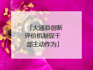 大通县创新评价机制促干部主动作为