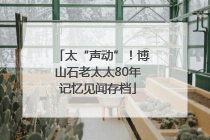 太“声动”！博山石老太太80年记忆见闻存档