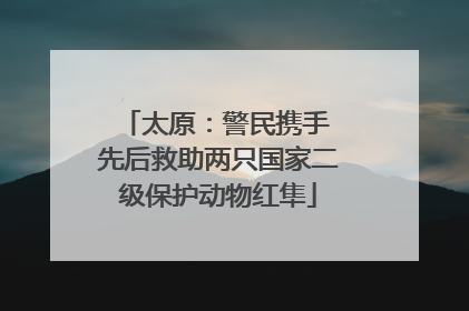太原：警民携手 先后救助两只国家二级保护动物红隼