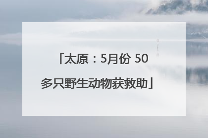 太原：5月份 50多只野生动物获救助