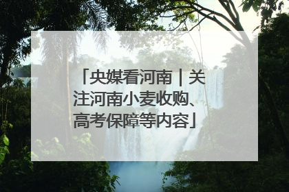 央媒看河南｜关注河南小麦收购、高考保障等内容