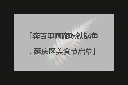 奔百里画廊吃铁锅鱼，延庆区美食节启幕