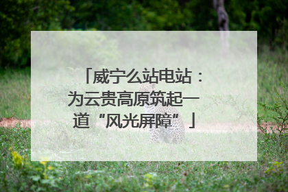 威宁么站电站：为云贵高原筑起一道“风光屏障”