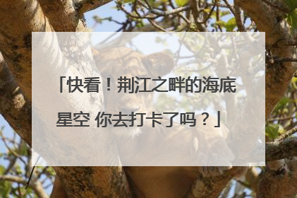 快看！荆江之畔的海底星空 你去打卡了吗？