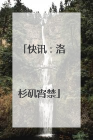 快讯：洛杉矶宵禁