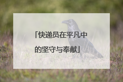 快递员在平凡中的坚守与奉献