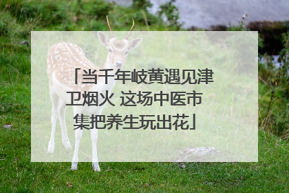 当千年岐黄遇见津卫烟火 这场中医市集把养生玩出花