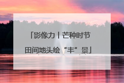 影像力丨芒种时节 田间地头绘“丰”景