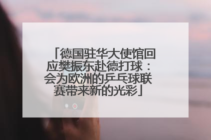 德国驻华大使馆回应樊振东赴德打球：会为欧洲的乒乓球联赛带来新的光彩