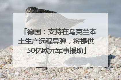 德国：支持在乌克兰本土生产远程导弹，将提供50亿欧元军事援助