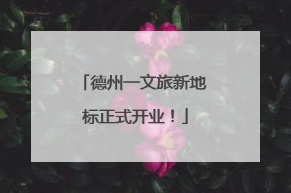 德州一文旅新地标正式开业！
